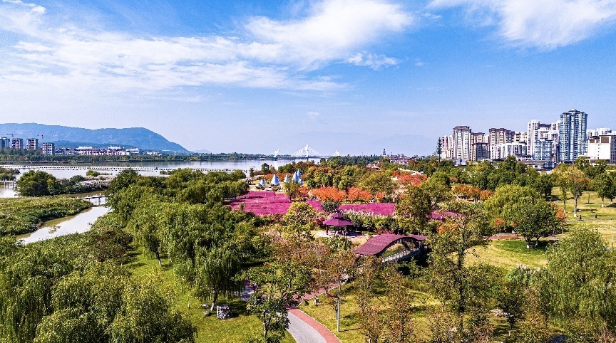 步入公園，仿佛走進(jìn)“色彩的世界”。王淦攝（資料圖片）